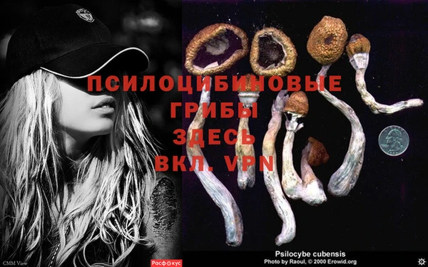 синтетический гашиш Домодедово