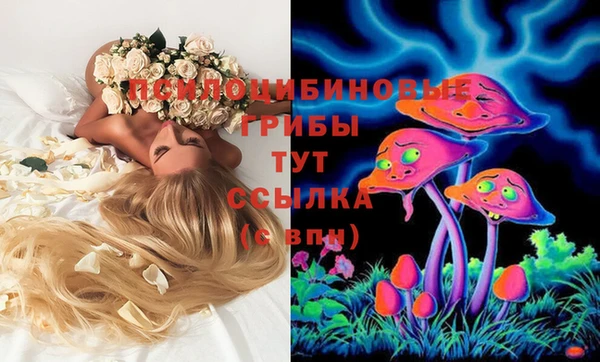 дмт Володарск