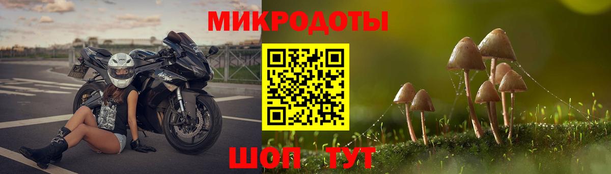 Новочеркасск  Галлюциногенные грибы Psilocybe  Вход с VPN 